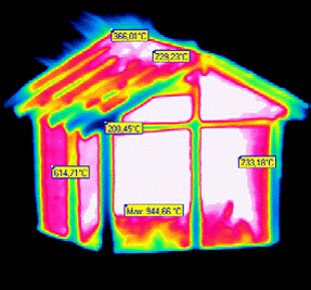 termografia modello in legno incendiato da Giovanni Fachinetti